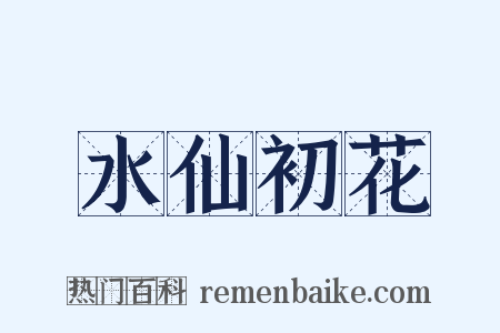 水仙初花是什么意思的图片